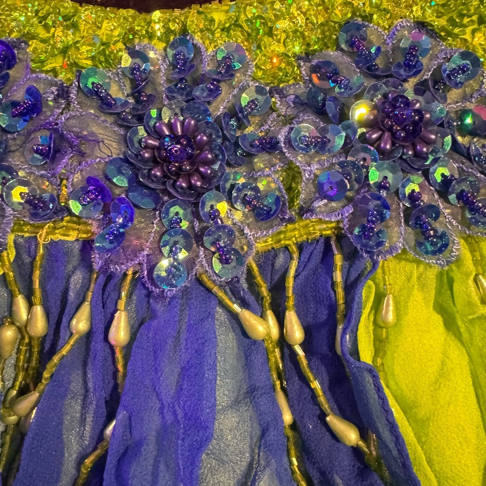 Silk Glamour Green and Blue Adult M Dance Costume - Picture 3 of 8